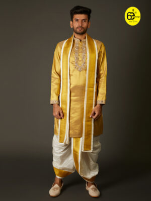 Gold Pattu Hand Embroidered Traditional Set